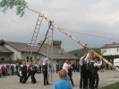 Maibaumstellen20150001