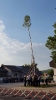 Maibaumstellen 2017